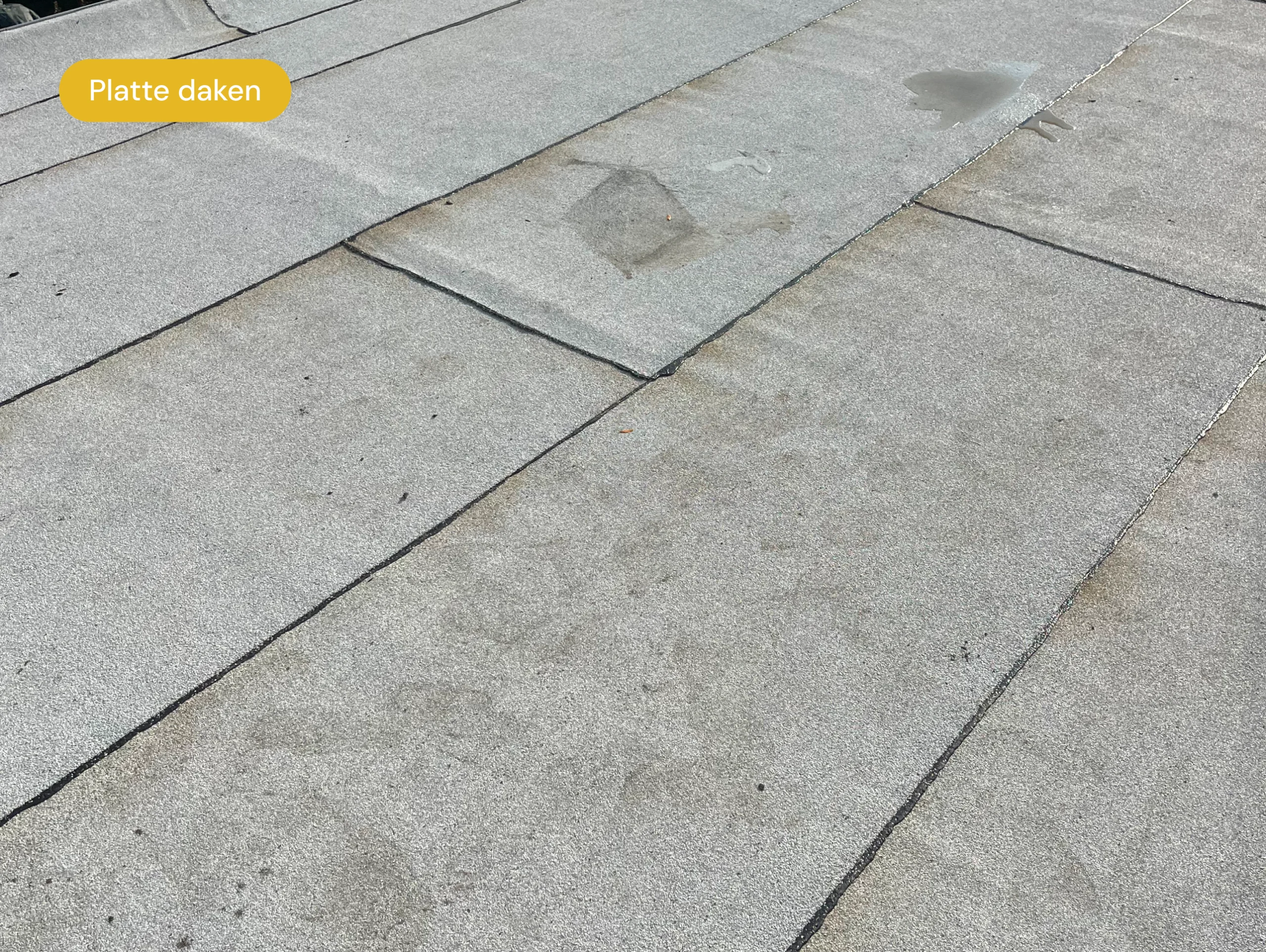 platte_daken